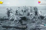 影视村午夜：当乡村遇上电影，会发生什么奇迹？