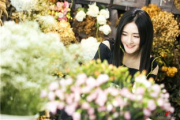 花房姑娘电影大全免费观看-观影指南与资源搜索技巧