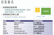 成品短视频下载网站精选推荐-满足各类需求
