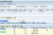 SAP软件,企业资源规划解决方案解析-功能与实施要点
