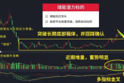 2023年新番肉食系动漫盘点-剧情与角色深度剖析