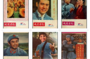 南方电影网,数字观影新体验-电影资源一站式解析