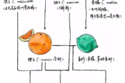 家族乱入，家庭和谐之痛-现象解析与应对策略
