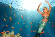【探索奇幻海域】芭比之美人鱼历险记：揭开海洋深处的秘密