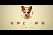 小小猫电影网,便捷观影体验-平台使用指南与优化建议