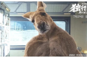 袋鼠电影网，高清电影资源一站式观看-观影指南详析