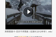 飘零电影网片源丰富，观影体验升级-平台优势解析