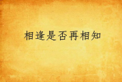 《情感迷雾：一段夫妻间的隐秘故事》免费阅读