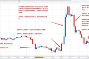 熊出没之年货选购攻略-实用指南与避坑技巧