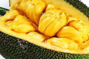 菠萝蜜一区二免费进入：揭秘2025年在线娱乐新趋势