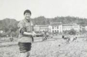 100部知青下乡电视剧,展现中国特殊时期历史-经典作品回顾