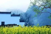 山村春情：2025年乡村振兴下的田园新画卷