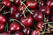 樱桃(cherry)官网,品牌故事与购物指南-官方网站深度解析