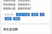 Papago翻译软件,多语言翻译利器-功能与使用解析