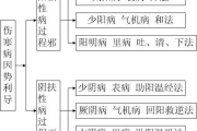 BD影视分级制度：艺术与责任的平衡艺术