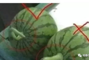 长相思第40集,合法观看途径-西瓜视频播放指南