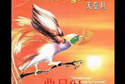 天堂鸟电影网,在线观影新选择-高效便捷的电影平台解析