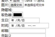 恶意点击软件原理与防范策略-广告投资保护解析
