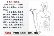 大码女胖mm加肥加大服装选择指南-时尚舒适两不误