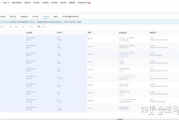亚马逊数据分析软件,提升销售业绩的关键工具-全面解析与应用指南