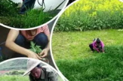 小草2022新地扯,最新资讯解析-保持同步指南