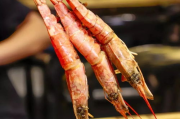 肥牛影视追剧大全：你真的看完了这些必追神剧吗？