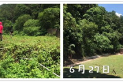 影视森林观影第一站：你准备好踏入这片奇幻电影世界了吗？