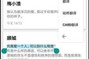 《我朋友的母亲2》完整视频翻译情况详解