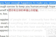 在线翻译软件，跨越语言障碍的桥梁-功能与使用指南