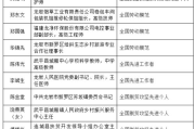 揭秘2025年头等舱客服背后的特殊待遇真相