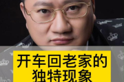 老司机带带我：揭秘2025年短视频平台的热门现象