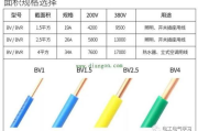 理论电线2024技术解析与应用前景