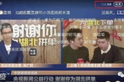 【揭秘2025年直播圈】月夜直播视频免费观看，是真福利还是另有隐情？