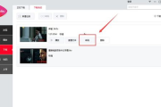 高效播放器软件,提升多媒体体验-选择指南解析