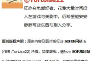 多人换着玩,提高互动性与协作效率-全面玩法解析