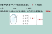 留学前的她