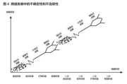 高效进入狂野式的方法解析，探索未知的自然奥秘