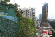 探究2025年城市居住空间：久草小区的多元化发展之路