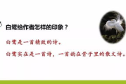 免费观看内容,数字媒体时代的用户体验-策略与挑战解析