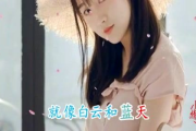 琪琪在线电影网站,高清电影观影体验-功能与优势解析