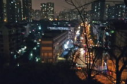 探索狂野之夜的魅力-城市夜生活的秘密角落