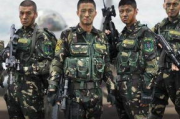 特种兵之霹雳火：2025年军事实力与战术解析