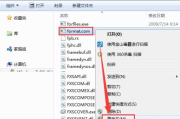 硬盘格式化软件,功能与选择标准-详细解析