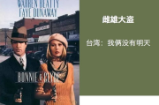 傻子影视：当银幕上的"笨蛋"教会我们最深刻的人生智慧
