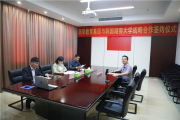电视剧全集播放：2025年观剧新趋势
