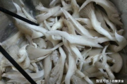 【美食探索】掌握技巧，轻松做出又烫又热又硬的蘑菇头！