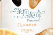 大狗狗影视在线观看-高清流畅的观影新选择