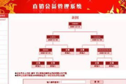 直销软件,提升业务效率-选择与使用指南