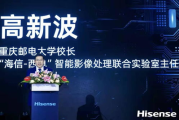 《艳贼》1080p解析-高清画质下的经典犯罪剧情