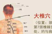 风寒感冒与风热感冒：区别与症状全解析